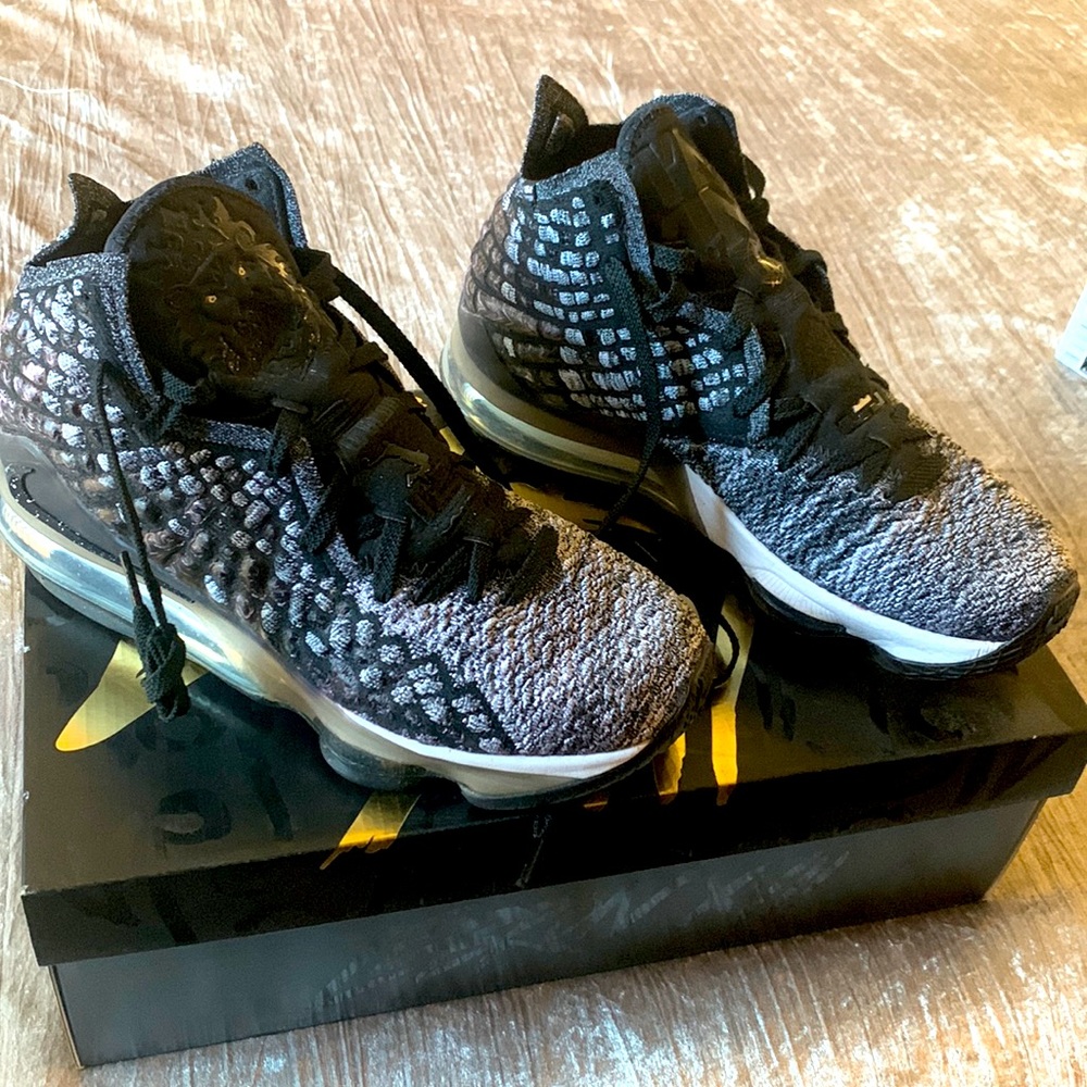 LEBRON XVII